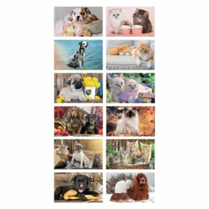 Calendario Cani & Gatti