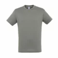 T Shirt Personalizzata Classic Grigia