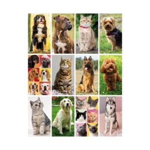 Calendario Personalizzato Cani E Gatti Mesi