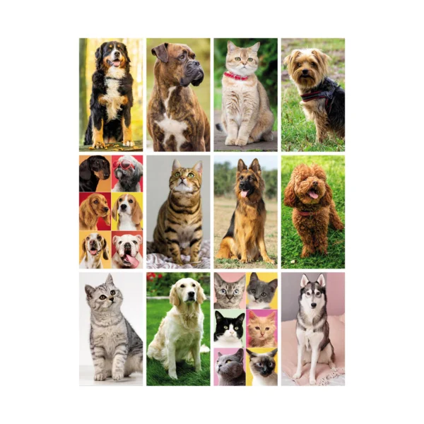 Calendario Personalizzato Cani E Gatti Mesi