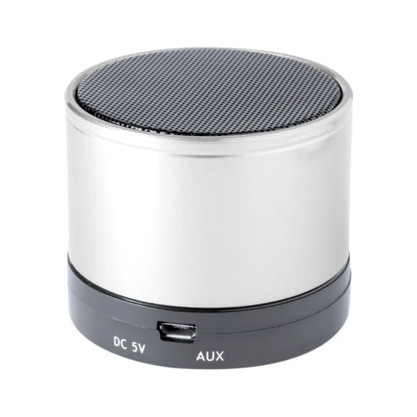 Cassa Bluetooth Personalizzata Argento Retro