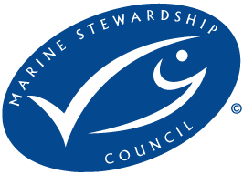 Gadget Msc Logo Marine