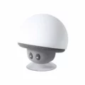 Cassa Bluetooth Moshy
