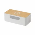 Cassa Bluetooth Con Caricabatteria Eco