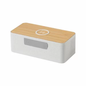 Cassa Bluetooth Con Caricabatteria Eco