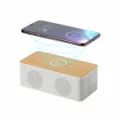 Cassa Bluetooth Con Caricabatteria Eco Esempio 2