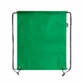 Sacca Rec Verde