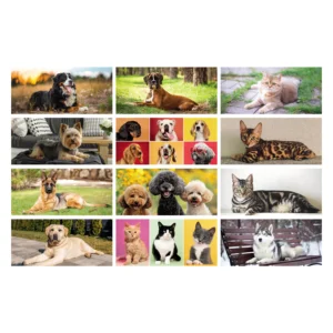 Calendario Da Tavolo Cani E Gatti Mesi