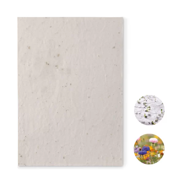 Biglietto con semi da piantare Flowers A5 gadget personalizzato