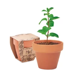 Gadget Con Semi Piantabili Personalizzabili