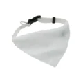 Collarino Per Cani Personalizzato Bianco