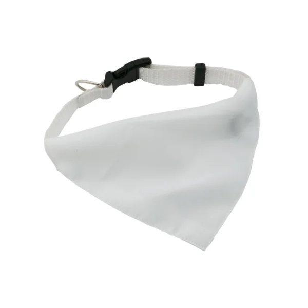 Collarino Per Cani Personalizzato Bianco