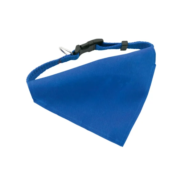 Collarino Per Cani Personalizzato Blu