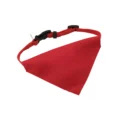 Collarino Friend gadget promozionale
