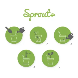 Matite Con Semi Istruzioni
